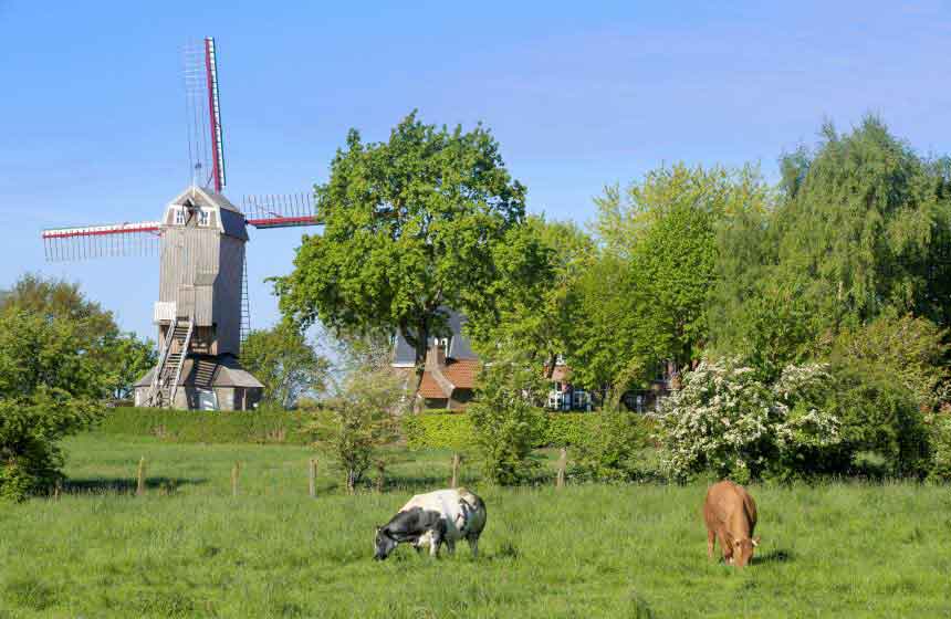 Les moulins, géants dans le paysage flamand