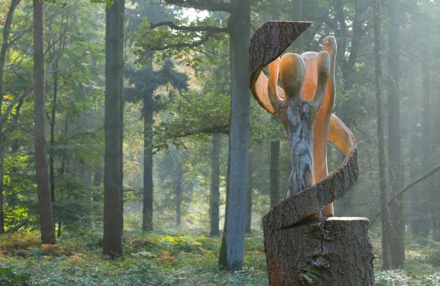 Les sculptures sur arbre en forêt de Crécy en Ponthieu