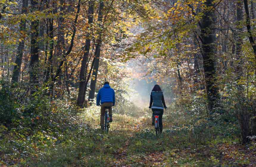 On vous prête des vélos : évadez-vous sur les chemins forestiers en forêt de Samoussy !