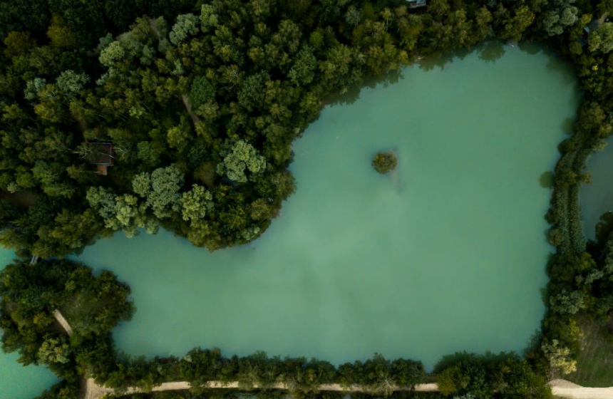 La Réserve, vue sur les étangs bleus 