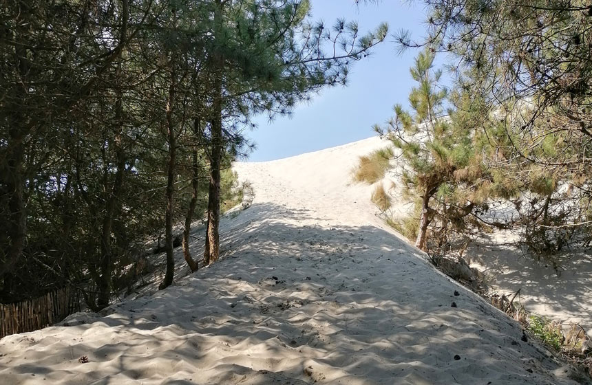 Sentier d'accès à la mer. Et derrière la dune : panorama extra !