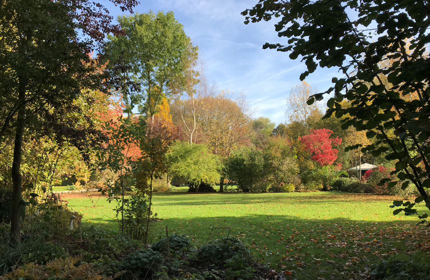 Votre jardin tout autour du chalet Ch'canard dans les Hortillonnages d'Amiens