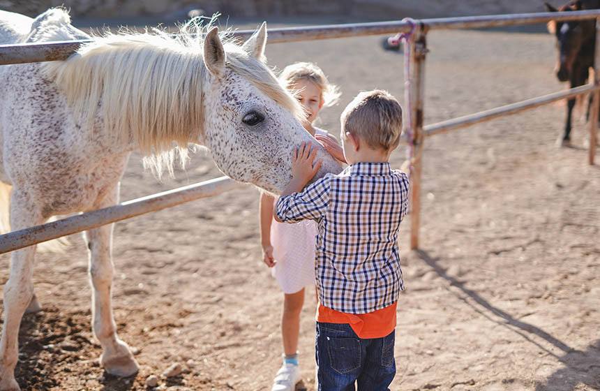 Les enfants pourront caresser les chevaux avant la balade en calèche