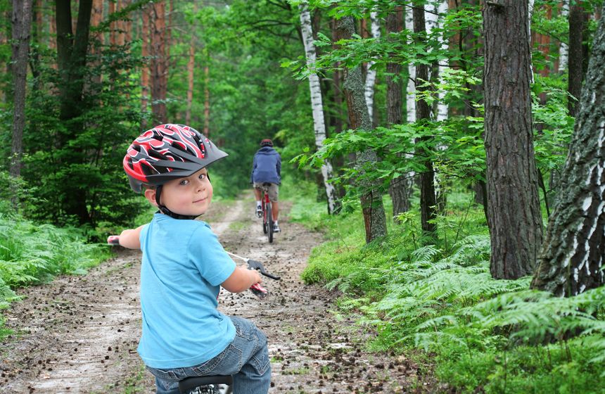 Des vélos sont disponibles à la location pour arpenter les chemins forestiers