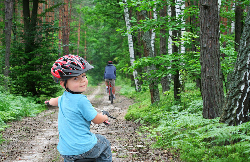 La forêt est tout près de votre gîte : l'occasion d'une balade à vélo