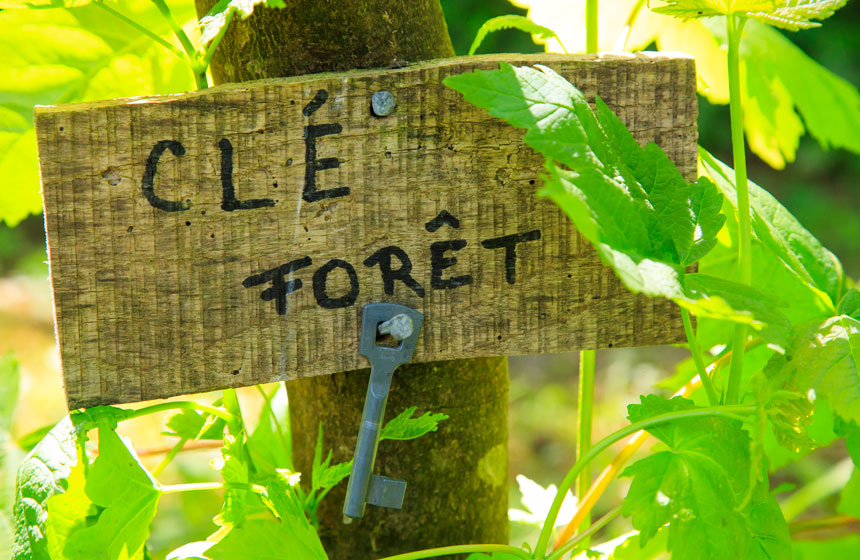 Partez en forêt de Crécy depuis un portillon au bout du jardin 