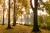 Les Hortillonnages d'Amiens dans ses couleurs d'automne