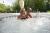 Un spa est disponible sur réservation (en intérieur l'hiver)- EDEN - Reumont