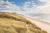 Vous êtes au coeur du plus large massif dunaire du Nord de la France