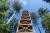 Montez tout en haut de la Tour Mangin : panorama whaou sur la canopée