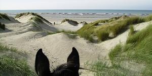 A cheval : mon itinéraire de balade préféré en Baie de Somme