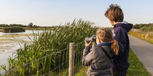 Le marais du Crotoy : un spot pour observer les oiseaux