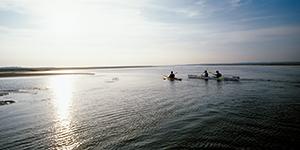 Se balader sur la mer en kayak