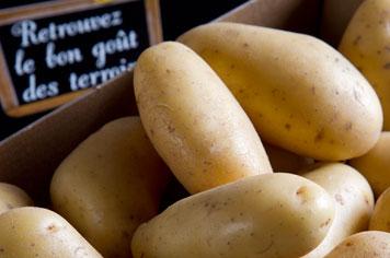 pommes de terre Hauts de France - Weekends Esprit Hauts de France