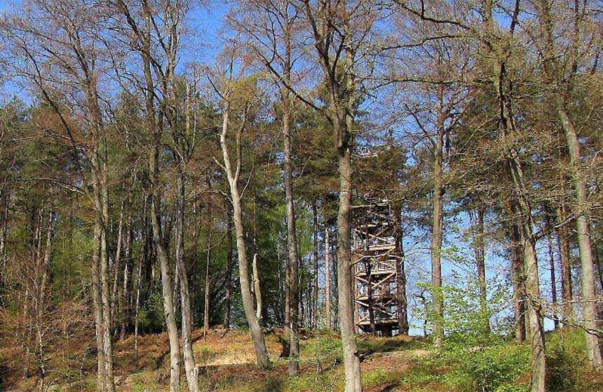 En chemin, en forêt, découvrez la Tour Mangin !